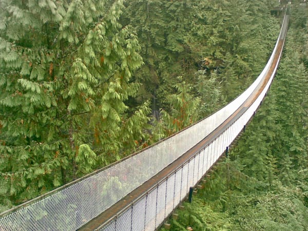 Crossing the Narrow Bridge